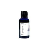 Buy Focus Blend Essential Oil - 30ml | Shop Verified Sustainable Essential Oils on Brown Living™