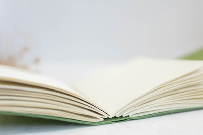 For the journey within - Bakhia / Sage Green – Notebooks & Notepads on Brown Living™. SKU: SR004. Img 3.