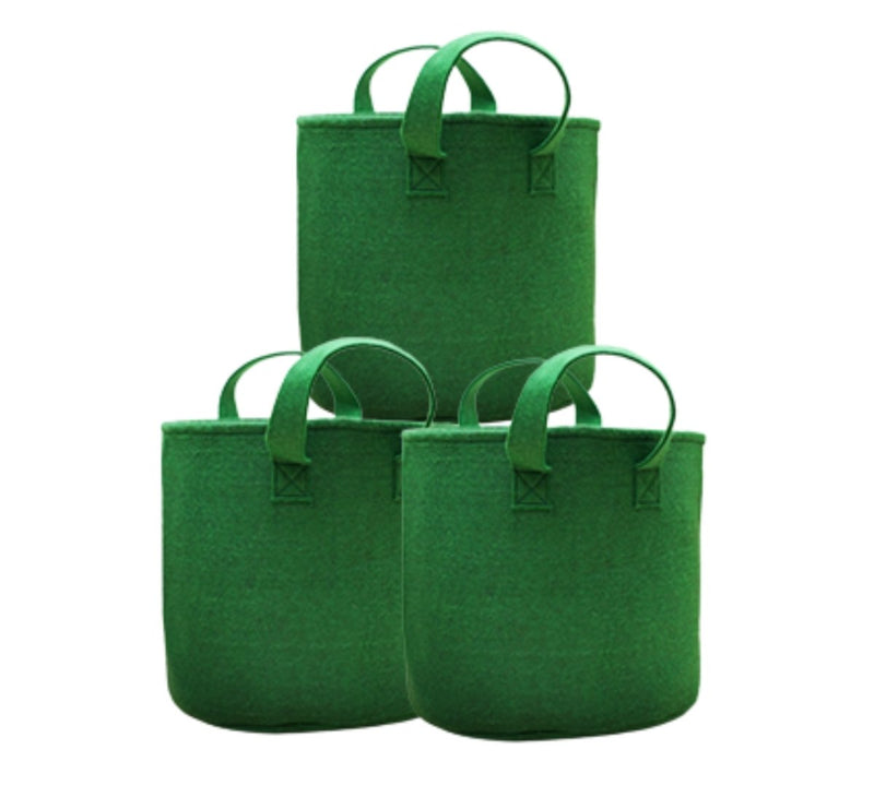 Buy Geo Fabric Grow Bags for Home Garden(Green) - 12x12 inch - Pack3 | Shop Verified Sustainable Pots & Planters on Brown Living™