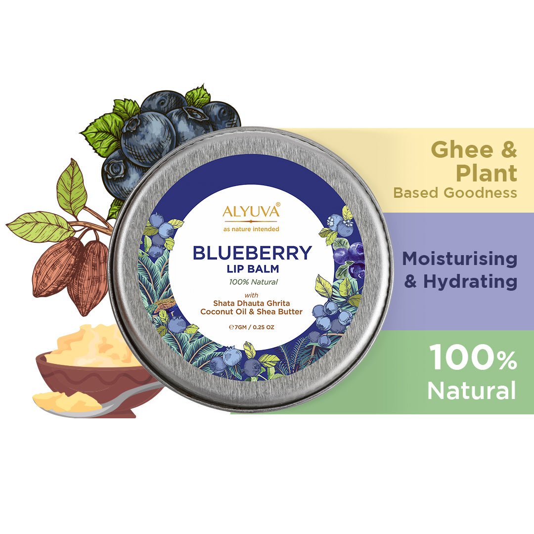 Ghee Enriched 100% Natural Blueberry Lip Balms, Pack of 3, 7gms Each | Verified Sustainable by Brown Living™