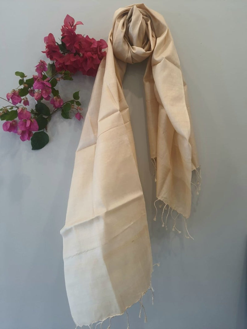 Buy Ghicha Stole | Shop Verified Sustainable Womens Dupatta on Brown Living™