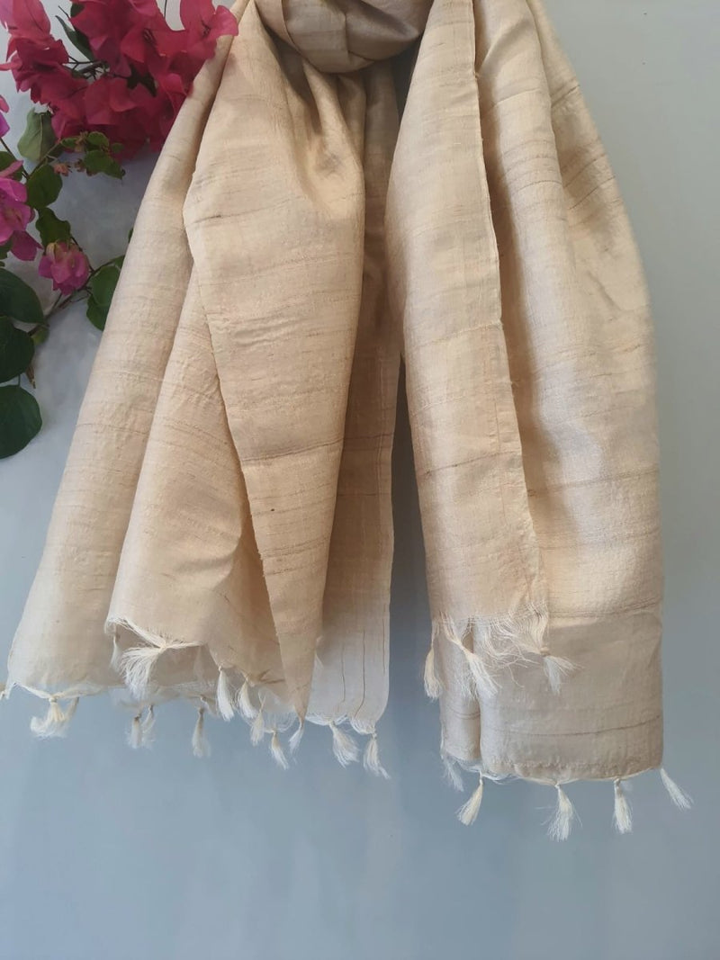 Buy Ghicha Stole | Shop Verified Sustainable Products on Brown Living