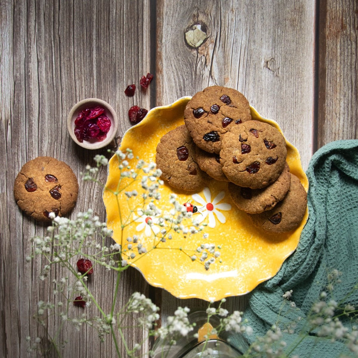 Ginger - Cranberry Cookies - Pack of 6 | Verified Sustainable by Brown Living™