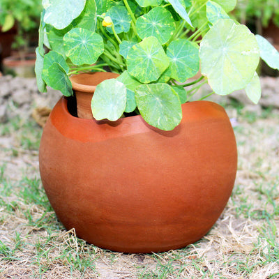 GLO (XL)Terracotta Planter with Deep Root Watering System - Set of 2 – Pots & Planters on Brown Living™. SKU: PLT - GLO/DR/XL2. Img 3.
