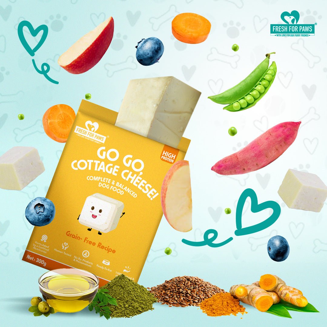 Go Go Cottage Cheese | 300 gram | Verified Sustainable by Brown Living™