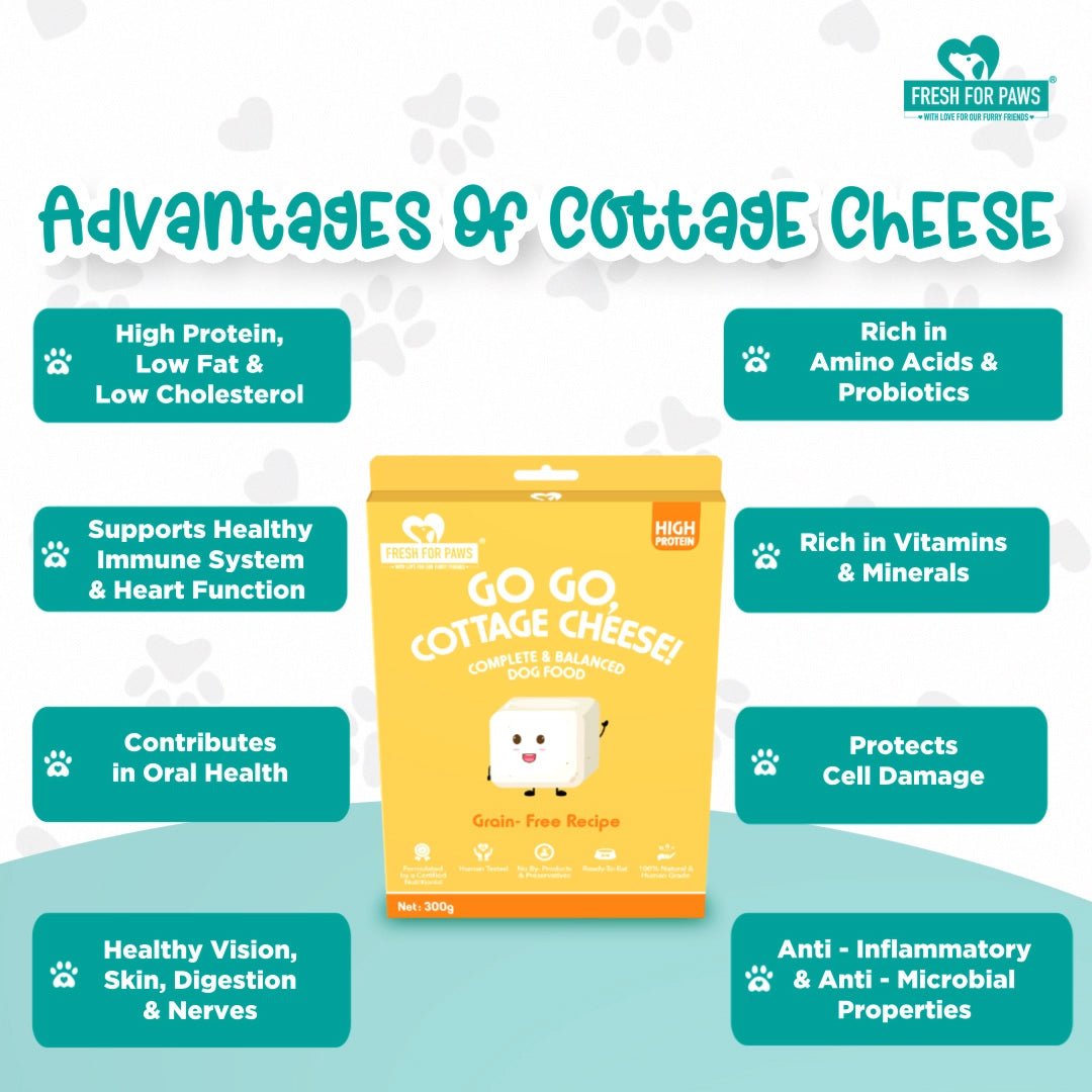 Go Go Cottage Cheese | 300 gram | Verified Sustainable by Brown Living™