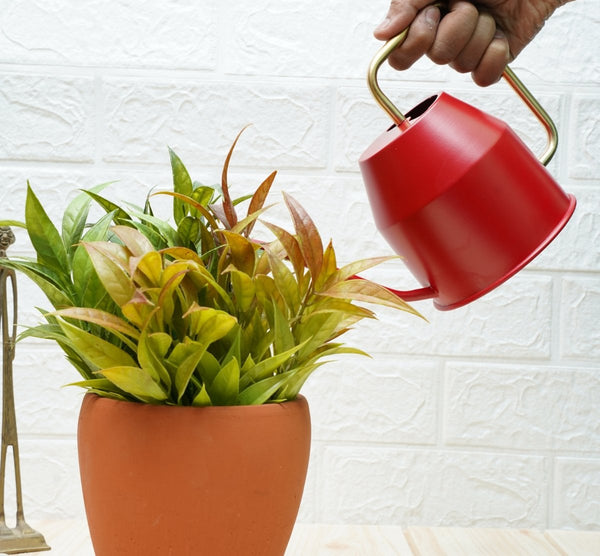 Gold Dust Watering Can For Plants, Garden Tools, Plant Watering Can (Red (0.9 Lt)) | Verified Sustainable by Brown Living™