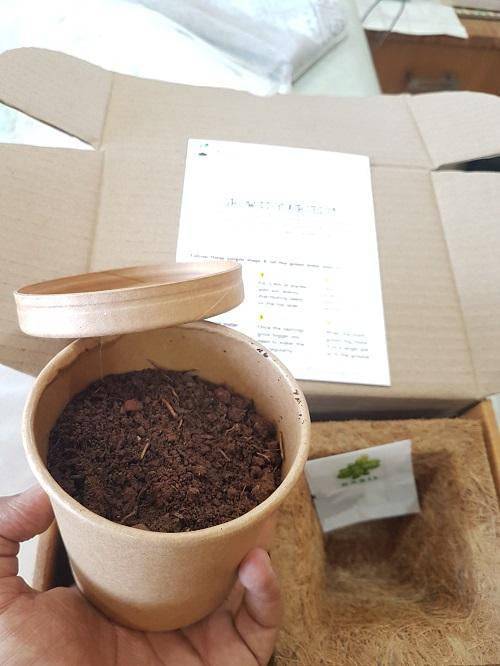 Buy Grow It Yourself Kit - 1 | Shop Verified Sustainable Products on Brown Living