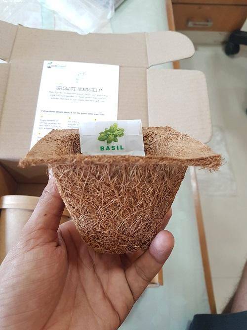 Buy Grow It Yourself Kit - 1 | Shop Verified Sustainable Pots & Planters on Brown Living™