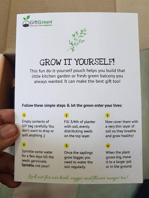 Buy Grow It Yourself Kit - Set of 2/3 | Shop Verified Sustainable Products on Brown Living
