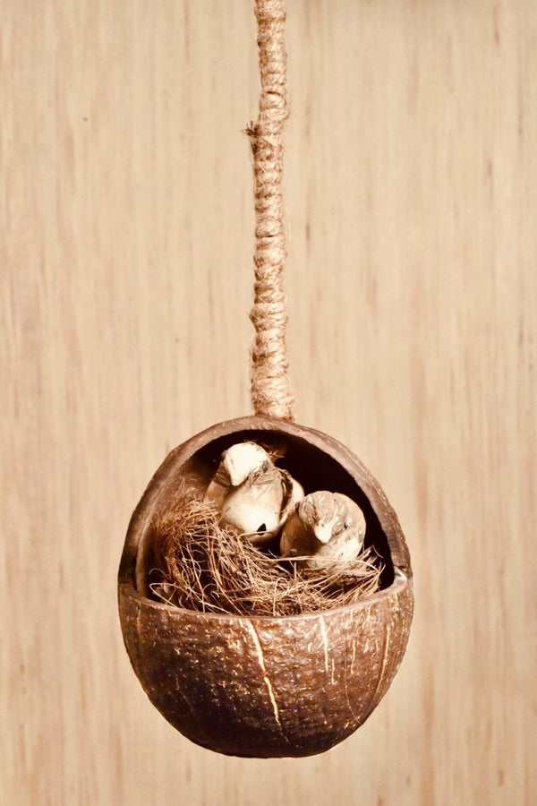 Buy Gudiya Coconut Bird Feeder | Shop Verified Sustainable Products on Brown Living