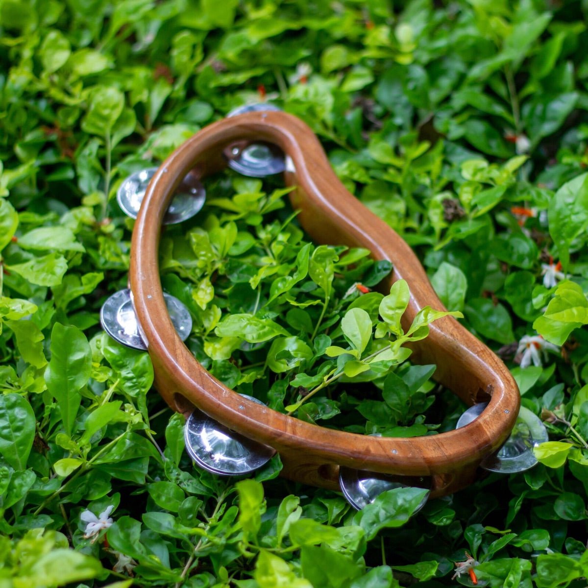 Half - moon Tambourine | Verified Sustainable by Brown Living™