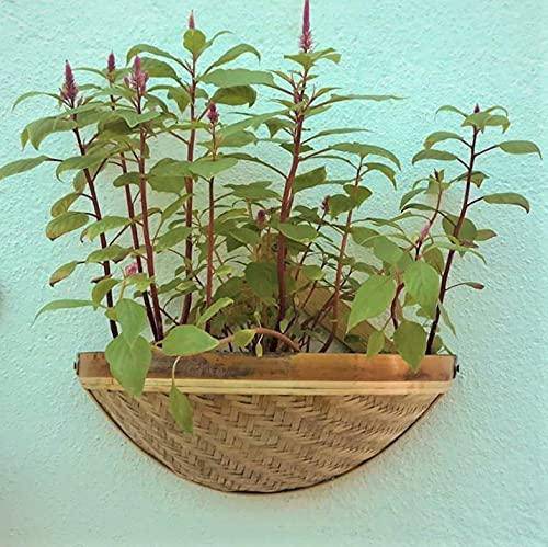 Buy Halfmoon Bamboo Wall Planter | Shop Verified Sustainable Pots & Planters on Brown Living™