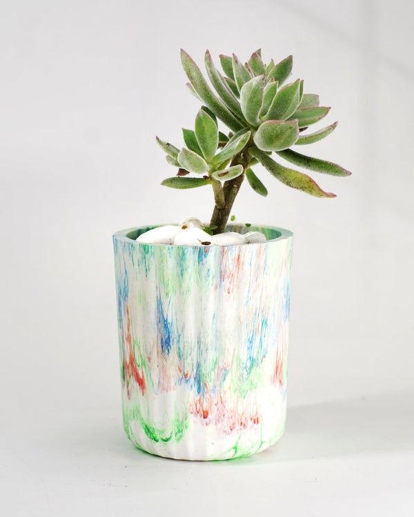 Handcrafted Recycled Eco-Pots- Spectra | Verified Sustainable Decorative Pots on Brown Living™