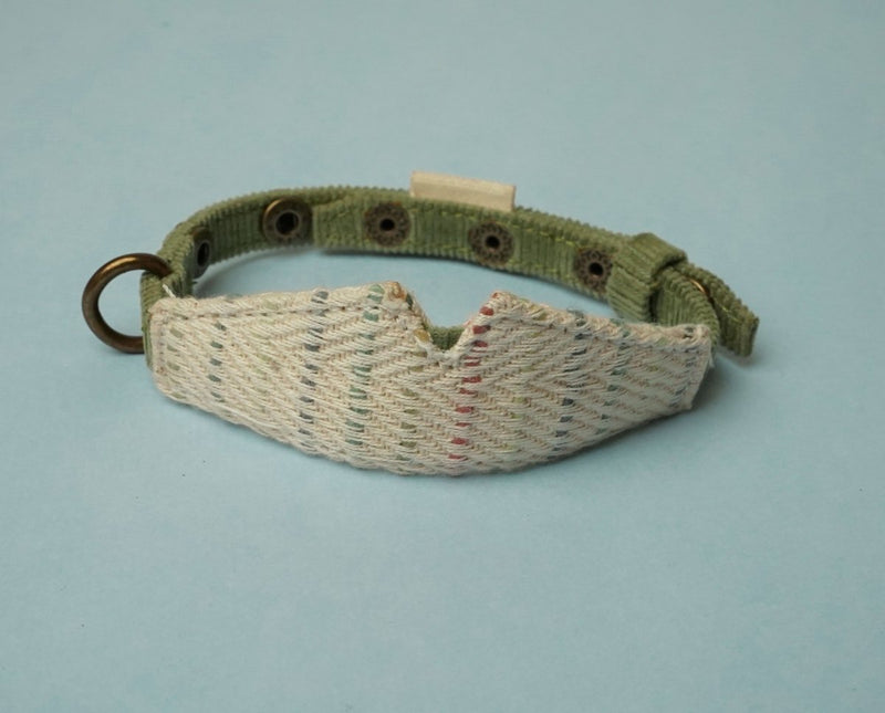 Buy Handloom Collar For Cats/Puppies - Spring Green | Shop Verified Sustainable Products on Brown Living