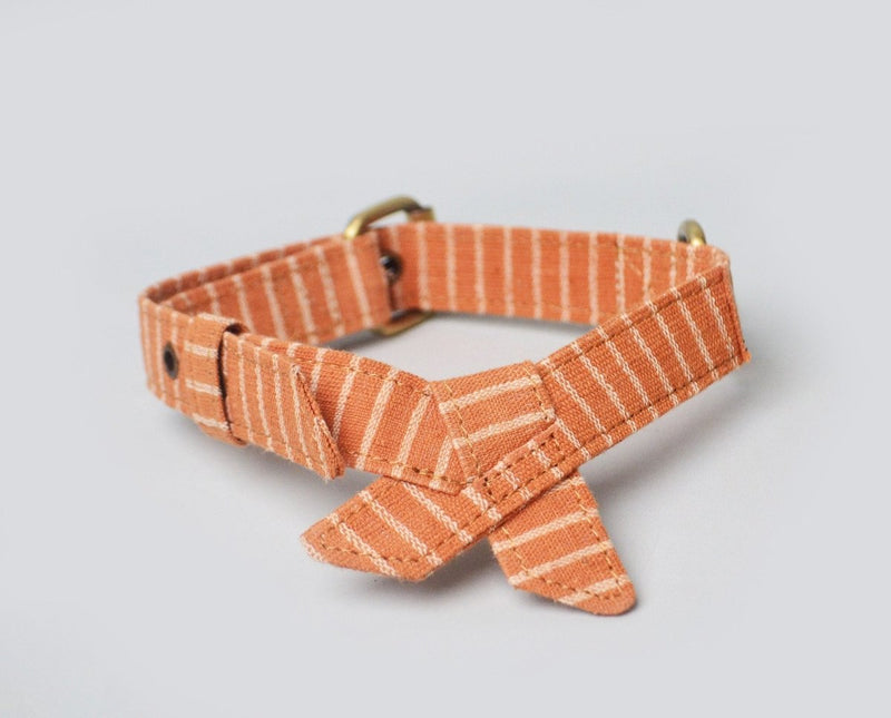 Buy Handloom Cotton Party Bowtie Dog Collar - Orange stripes | Shop Verified Sustainable Products on Brown Living
