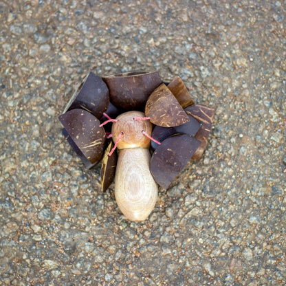 Handmade Coconut Rattle for percussion and sound healing | Verified Sustainable by Brown Living™