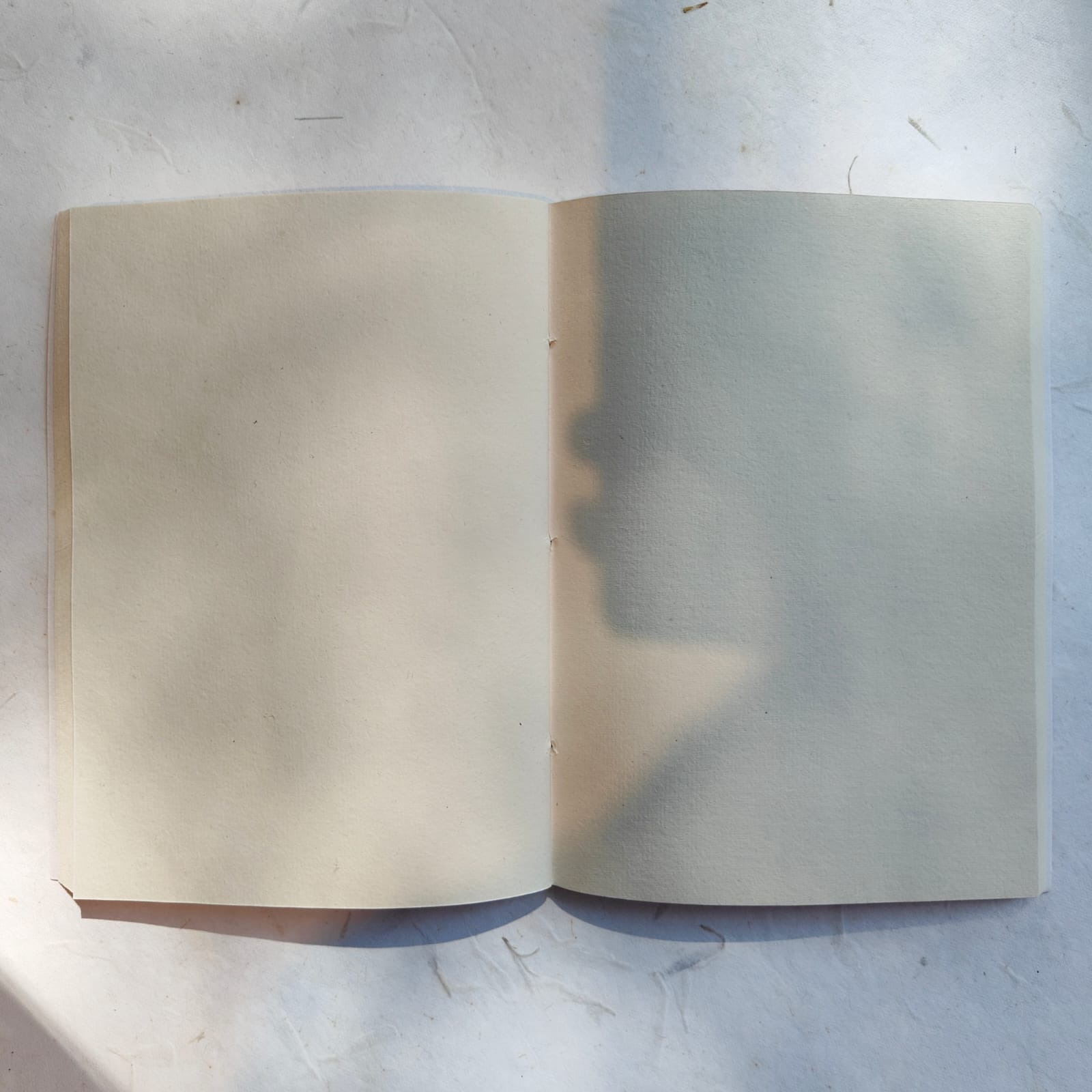 Handmade Paper Softcover Notebooks - White | Verified Sustainable by Brown Living™