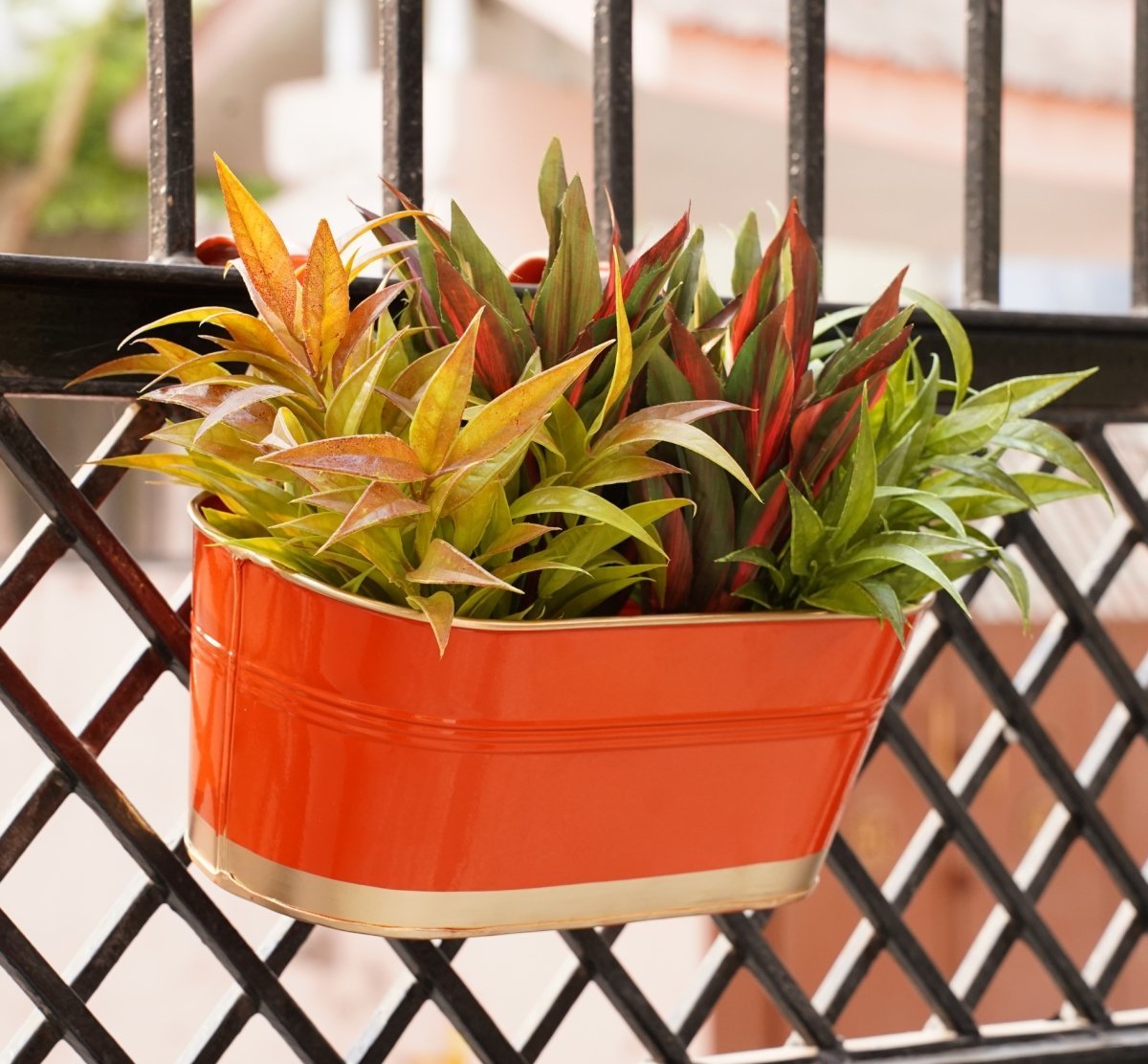 Hanging Pots For Plants Balcony Railing (Orange - Pack4) | Verified Sustainable by Brown Living™