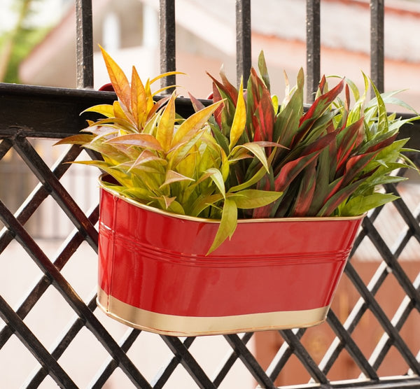 Buy Hanging Pots For Plants Balcony Railing (Red - Pack6) | Shop Verified Sustainable Products on Brown Living