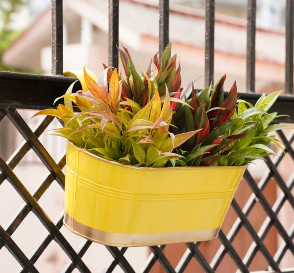 Buy Hanging Pots For Plants Balcony Railing (Yellow - Pack4) | Shop Verified Sustainable Pots & Planters on Brown Living™