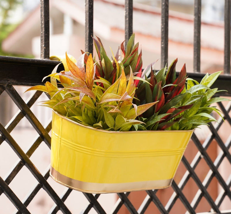 Buy Hanging Pots For Plants Balcony Railing (Yellow - Pack4) | Shop Verified Sustainable Products on Brown Living