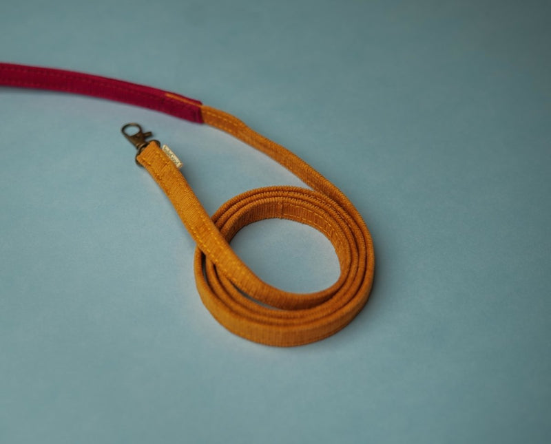 Buy Harness and Leash For Cats/Puppies - Beach Bloom | Shop Verified Sustainable Products on Brown Living