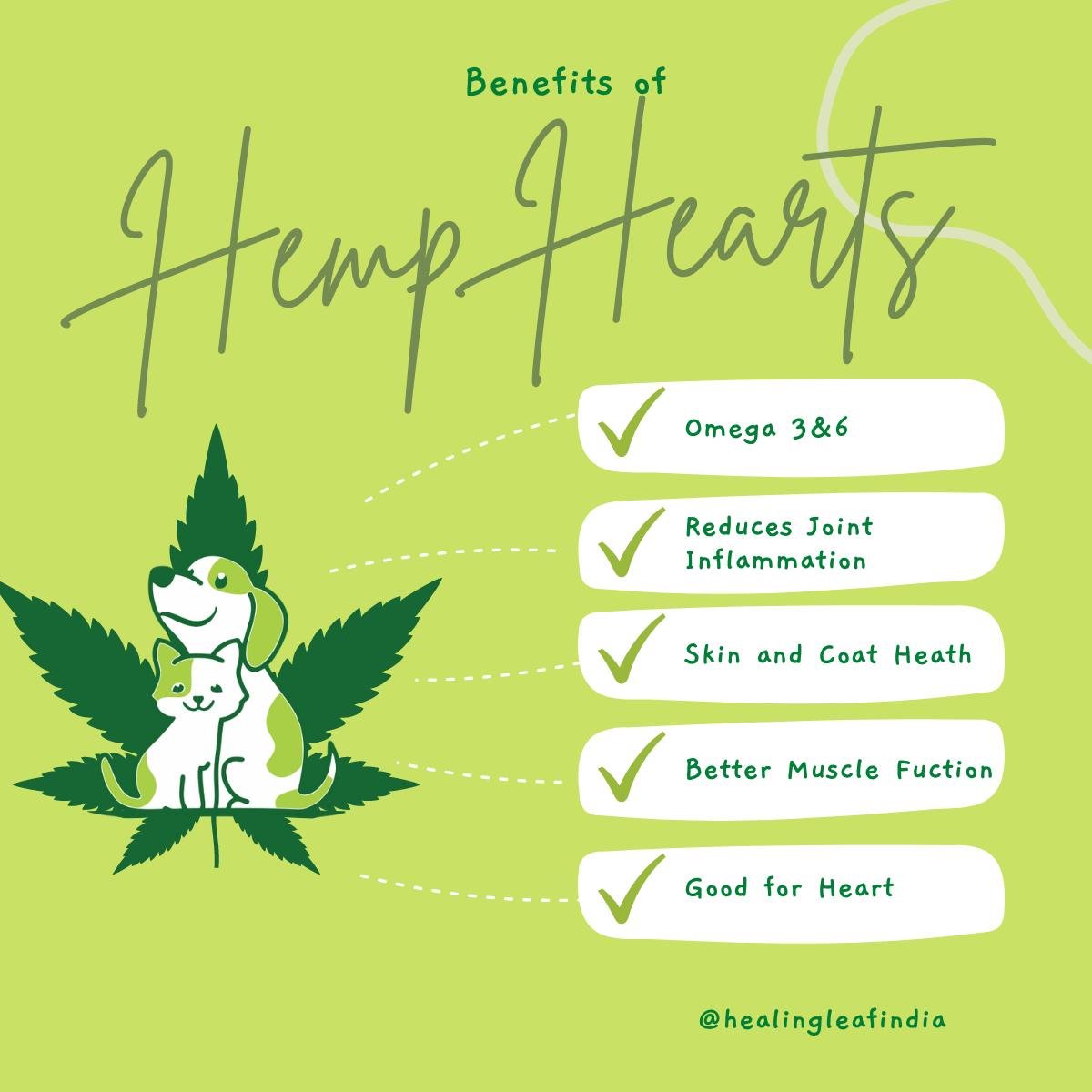 Hemp Hearts for Pets (100gm) | Verified Sustainable by Brown Living™