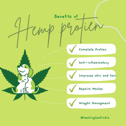 Hemp Protein Powder for Pets (100gm) | Verified Sustainable by Brown Living™