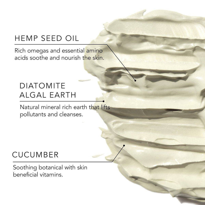 Buy Hemp + Vitamin E Purifying Mask | 100% Vegan | Plant & Diatomite Earth Enriched | Shop Verified Sustainable Face Pack on Brown Living™