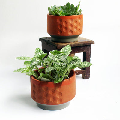 Hexa Deco Terracotta Planter Set of 2 – Pots & Planters on Brown Living™. SKU: PLT - HXD/2. Img 1.