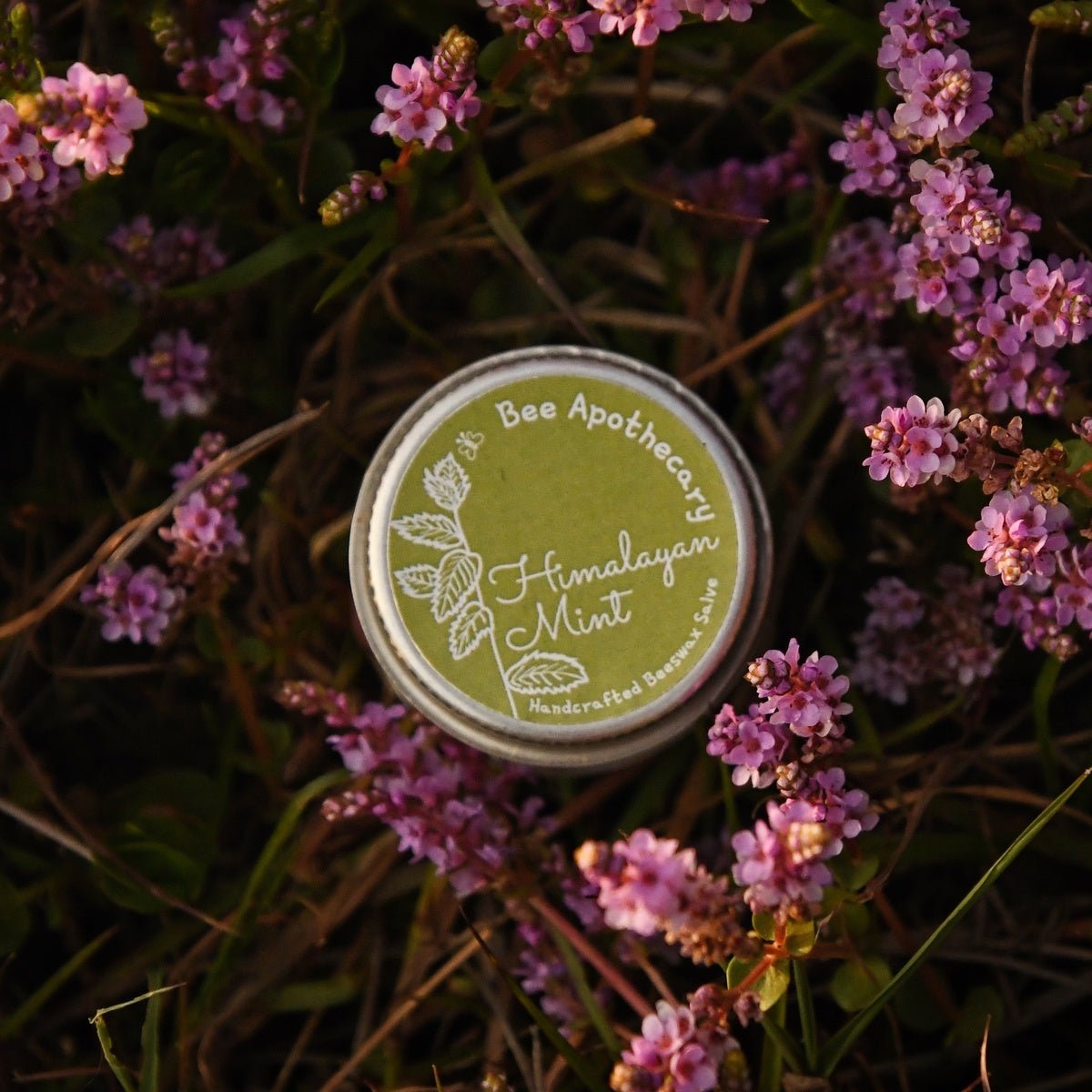 Himalayan Mint Beeswax Salve - 15g | Verified Sustainable by Brown Living™