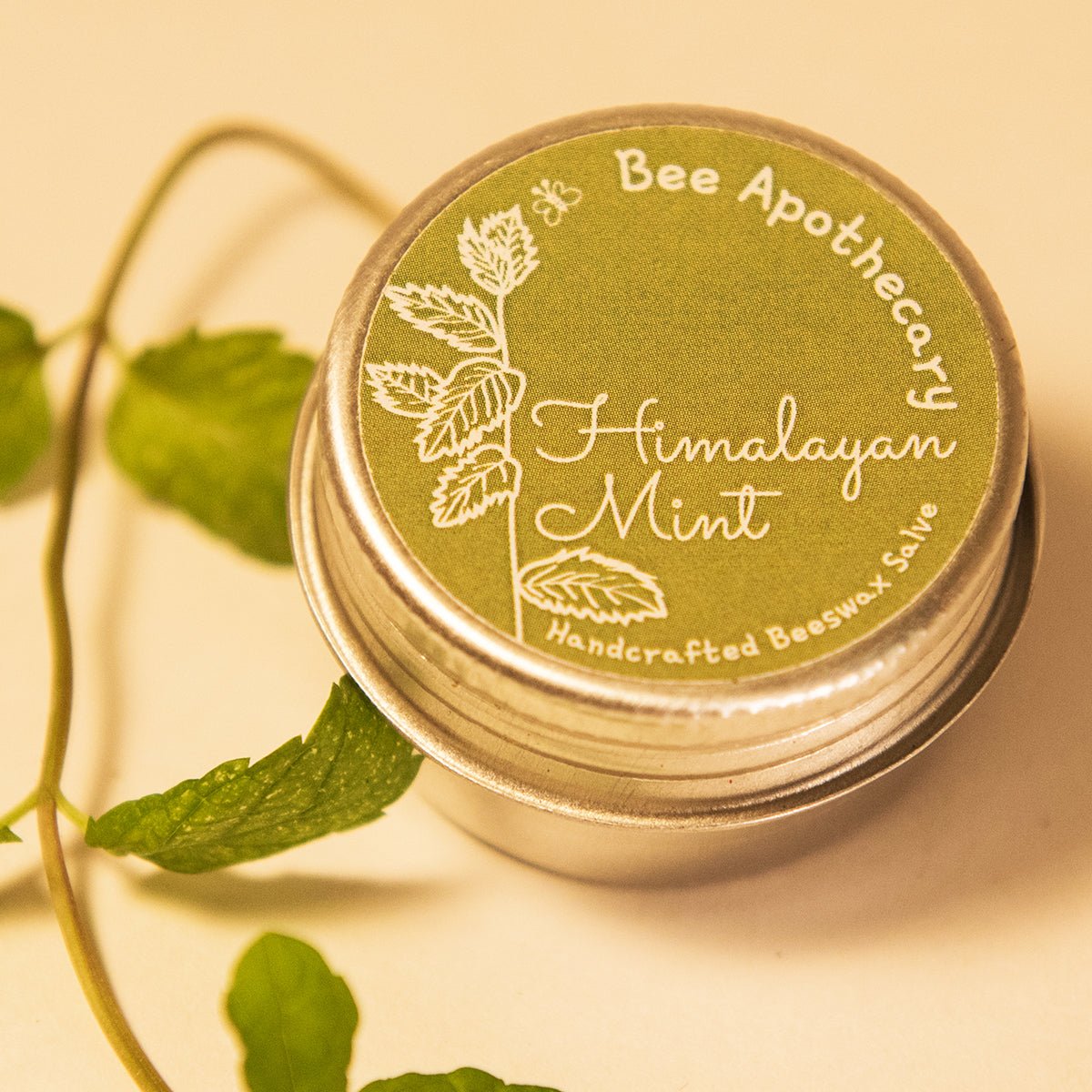 Himalayan Mint Beeswax Salve - 15g | Verified Sustainable by Brown Living™