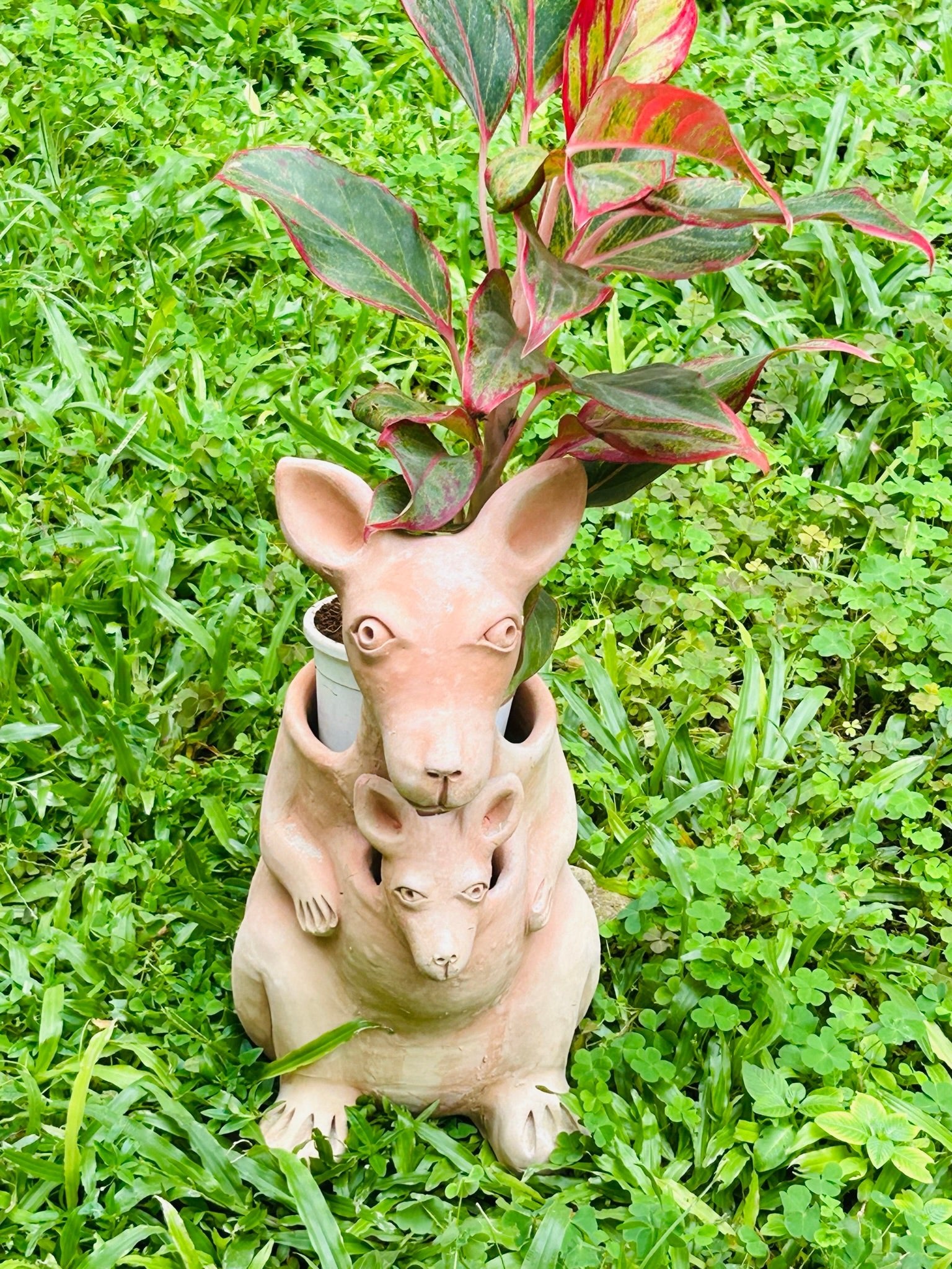 Hoppy Kangaroo Earthern Planter | Verified Sustainable by Brown Living™