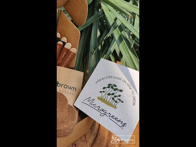 DIY Microgreens Seeds Kit