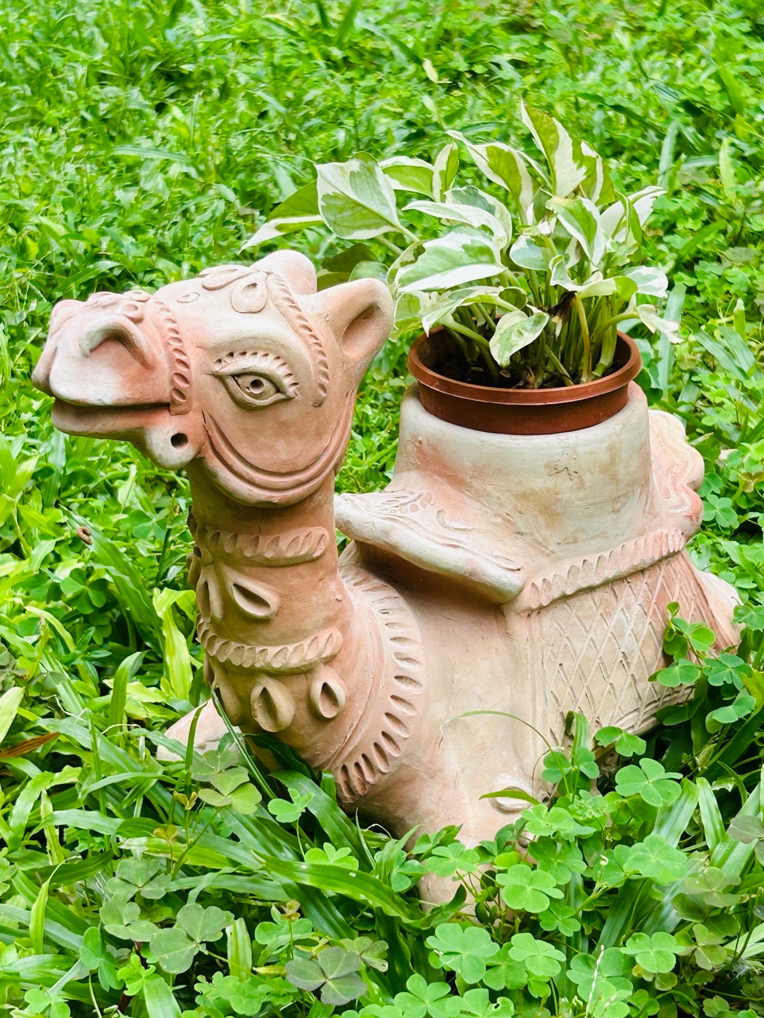 Hump Camel Earthern Pot | Verified Sustainable by Brown Living™