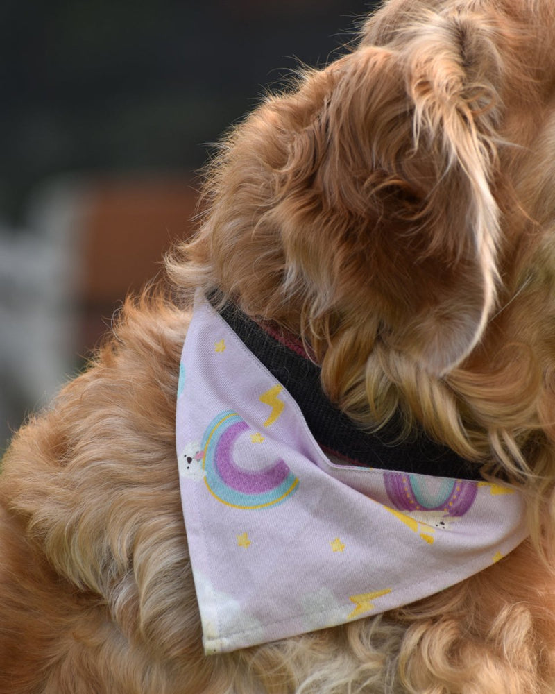Buy In the Sky Bandana for Pets | Shop Verified Sustainable Pet Accessories on Brown Living™