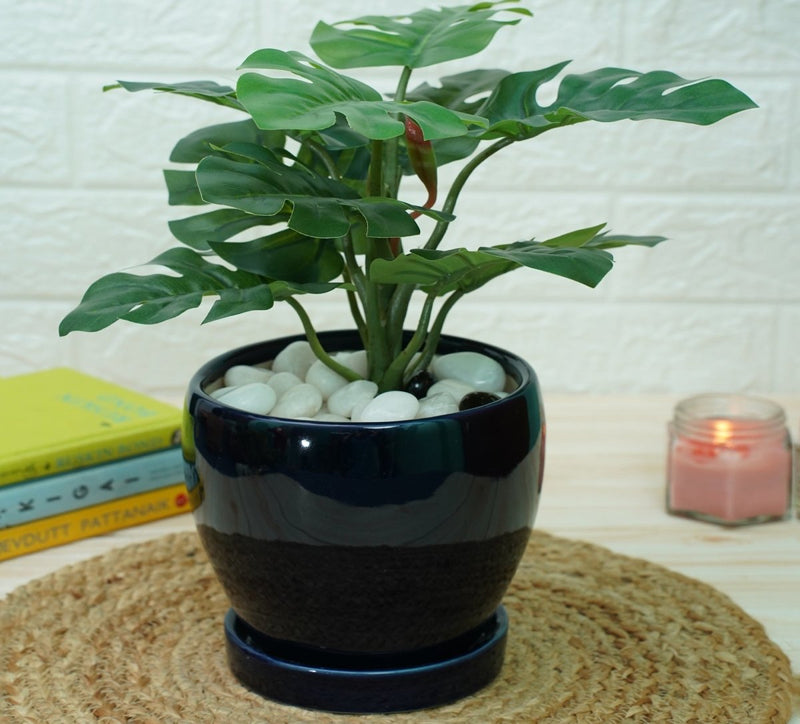 Buy Indoor Ceramic Pot for Living Room - Dark Blue Pot | Shop Verified Sustainable Pots & Planters on Brown Living™