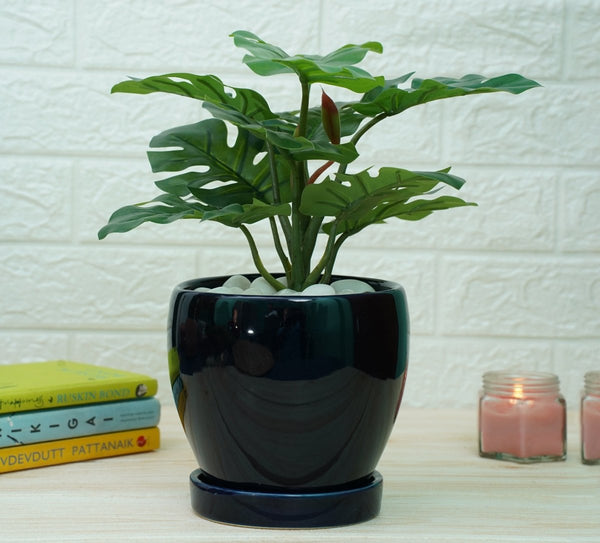 Buy Indoor Ceramic Pot for Living Room - Dark Blue Pot | Shop Verified Sustainable Pots & Planters on Brown Living™
