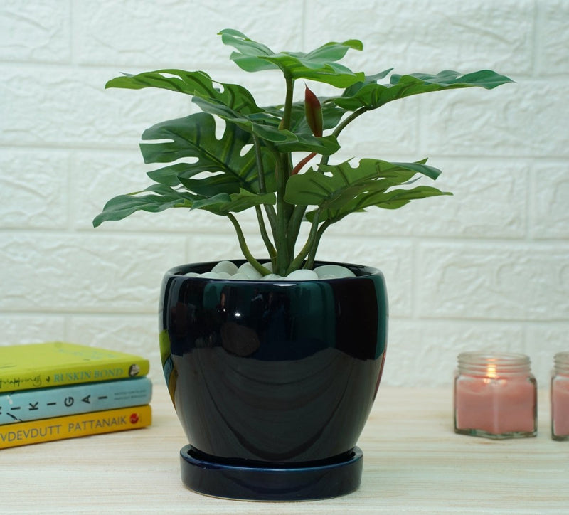 Buy Indoor Ceramic Pot for Living Room - Dark Blue Pot | Shop Verified Sustainable Products on Brown Living