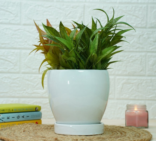 Indoor Ceramic Pot for Living Room - White Pot | Verified Sustainable by Brown Living™