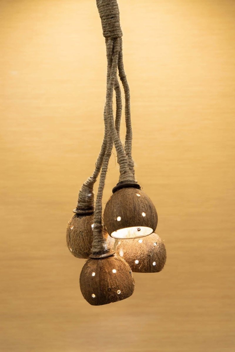 Buy Jalaja Coconut Hanging Lights | Shop Verified Sustainable Products on Brown Living
