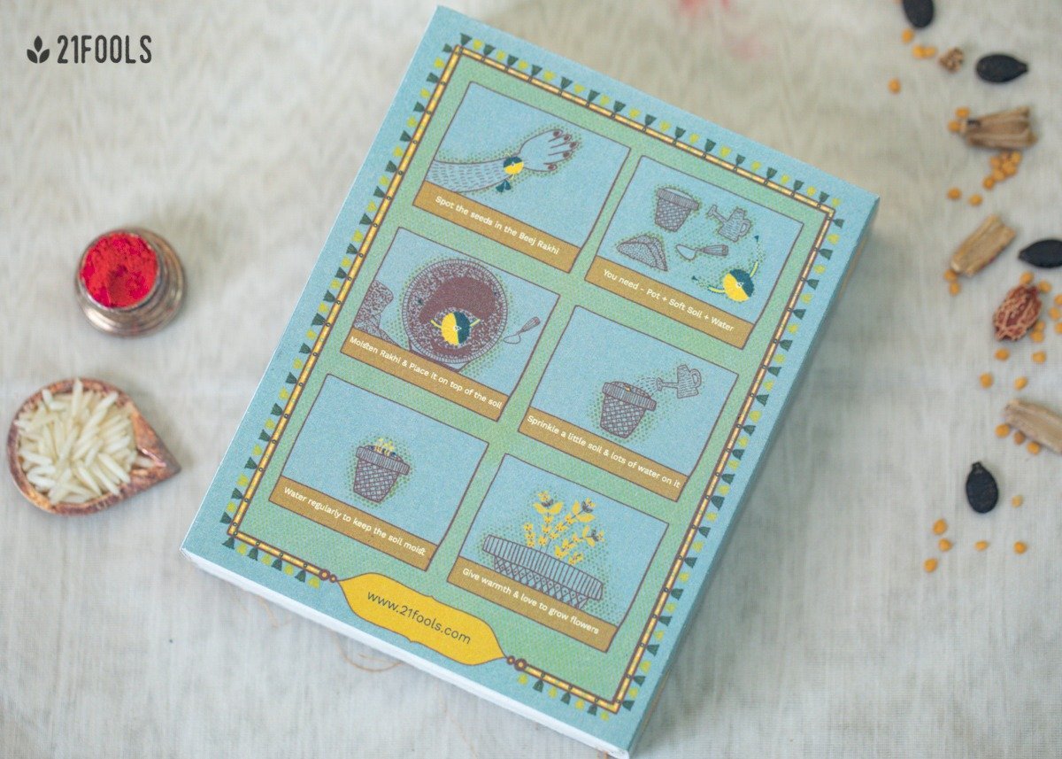 Kairi - Eco - friendly Plantable Rakhi embedded with seeds – Rakhi on Brown Living™. SKU: 172 - 08474 - 21FO - 305. Img 8.