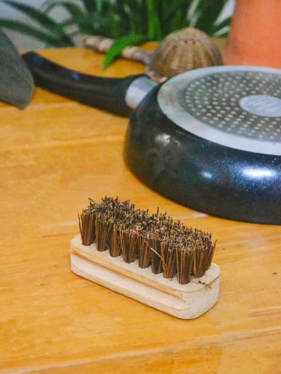 Buy Kitchen Hard Scrub Brush Online on Brown Living