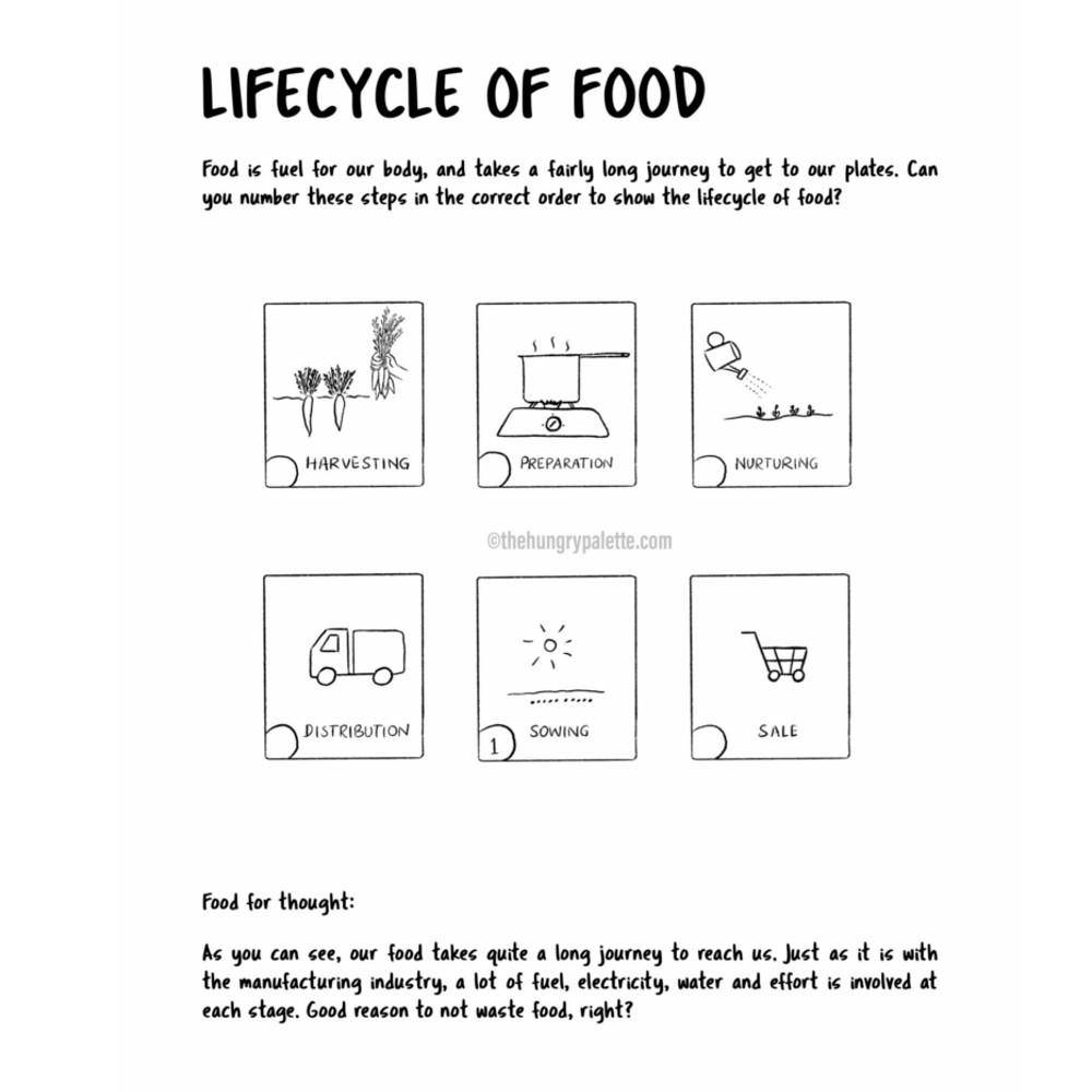 Let's Talk Trash Illustrated Handbook + Activity Book Combo | Verified Sustainable by Brown Living™