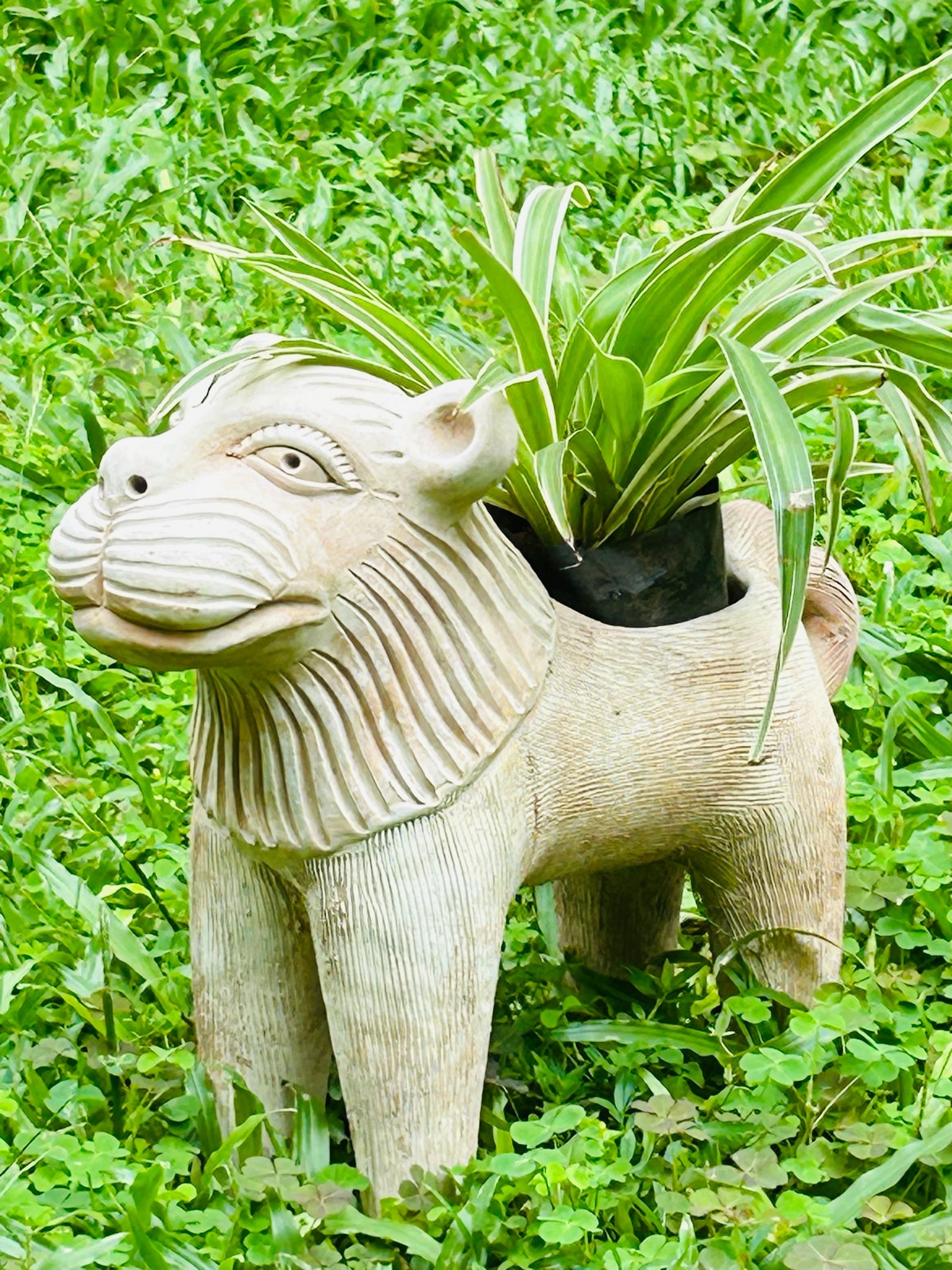 Lion King Earthern Planter | Verified Sustainable by Brown Living™