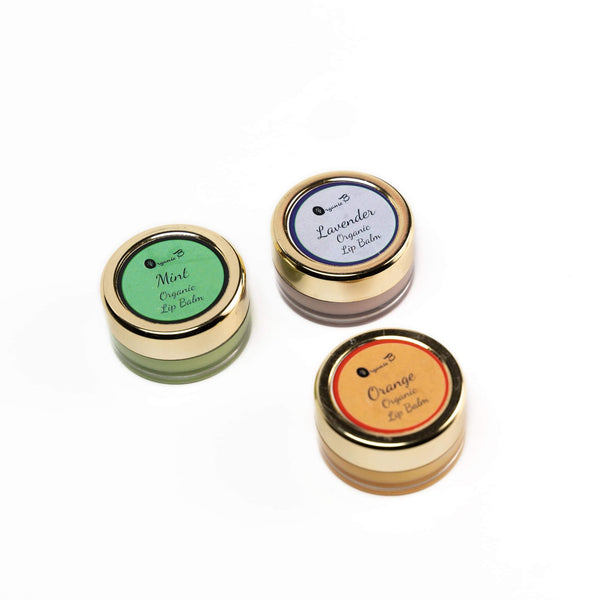 Lip Balm- Pack of 3 Different Flavours | Verified Sustainable Lip Combo Pack on Brown Living™