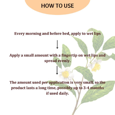 Lip Balm With Mango Butter – Lip Balms on Brown Living™. SKU: PERE18. Img 5.