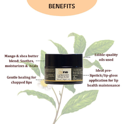 Lip Balm With Mango Butter – Lip Balms on Brown Living™. SKU: PERE18. Img 4.