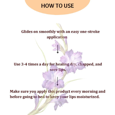 Lip Oil with Grapefruit - Amber Rollon – Lip Balms on Brown Living™. SKU: PERE20. Img 4.